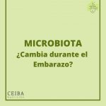 Microbiota en el embarazo