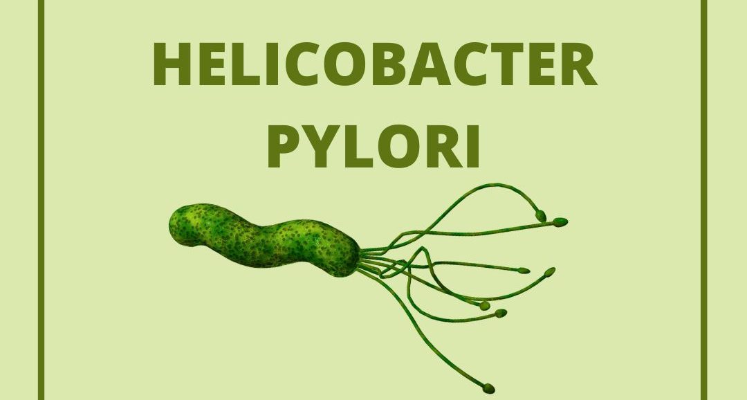 HELICOBACTER PILORY